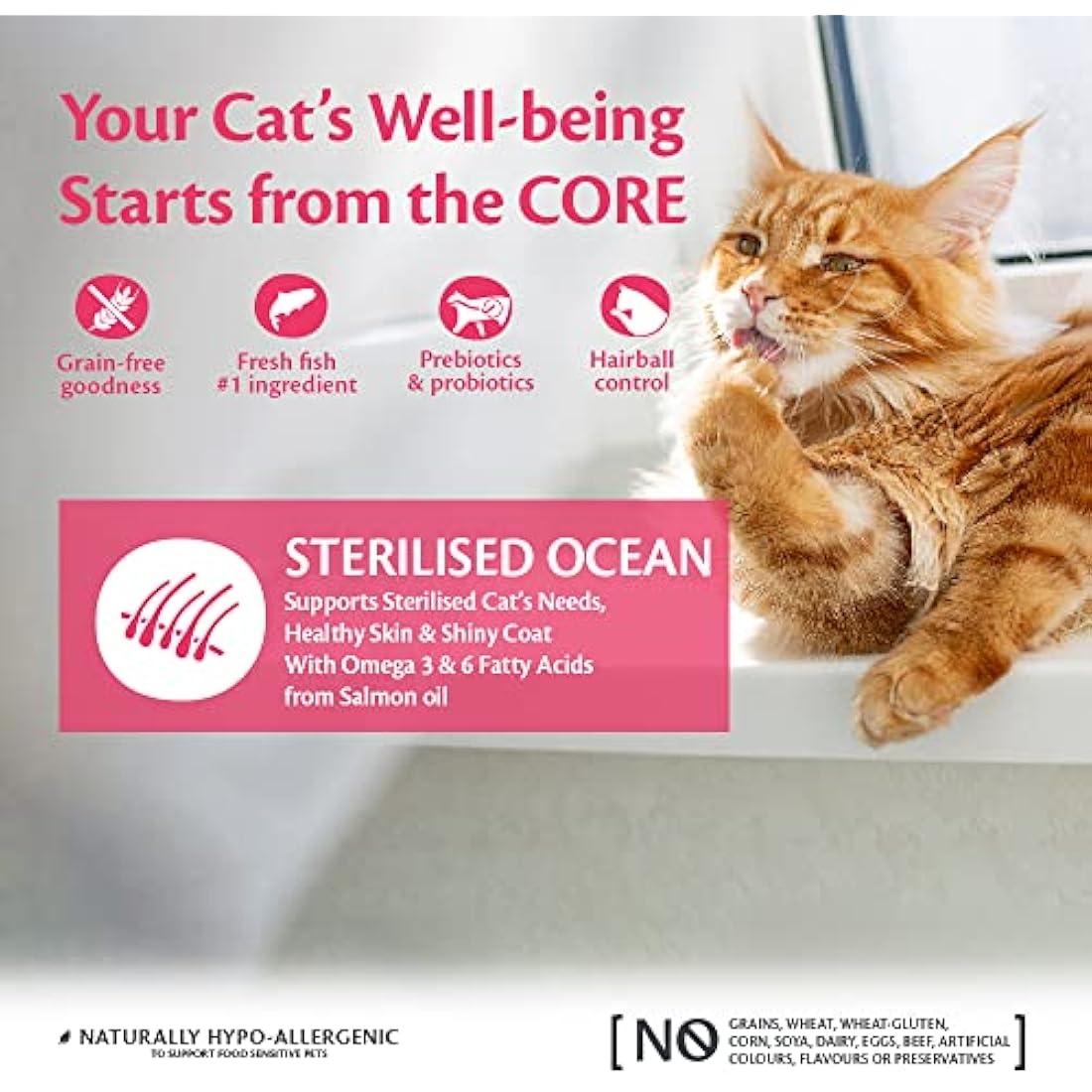 Wellness CORE Grain-Free Salmon Dry Cat Food for Sterilised Cats - 300g