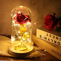 24K Eternal Rose in Glass Dome with LED Light – Galaxy Flower