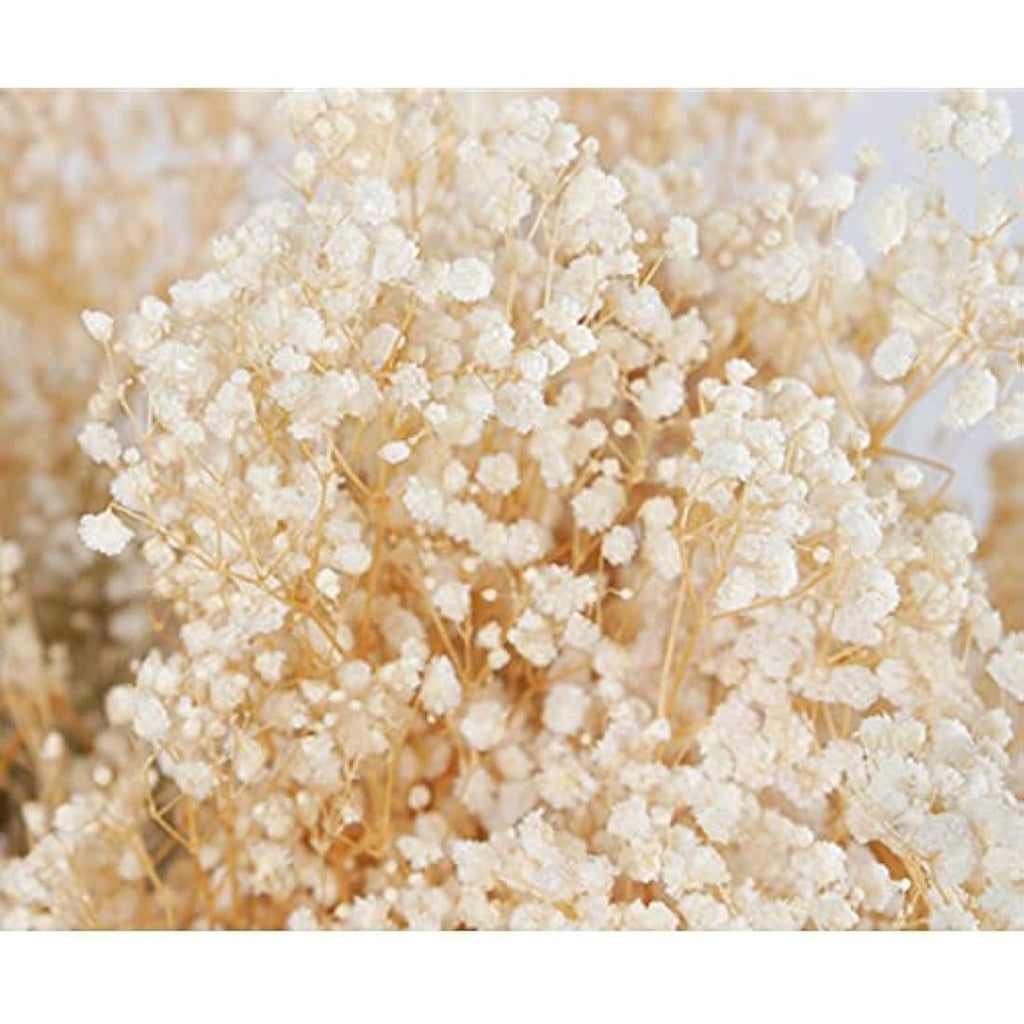 OUKEYI Dried Baby's Breath Bouquet | 17" Ivory White Gypsophila Flowers