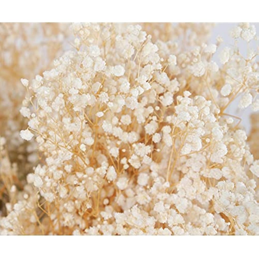 OUKEYI Dried Baby's Breath Bouquet | 17" Ivory White Gypsophila Flowers
