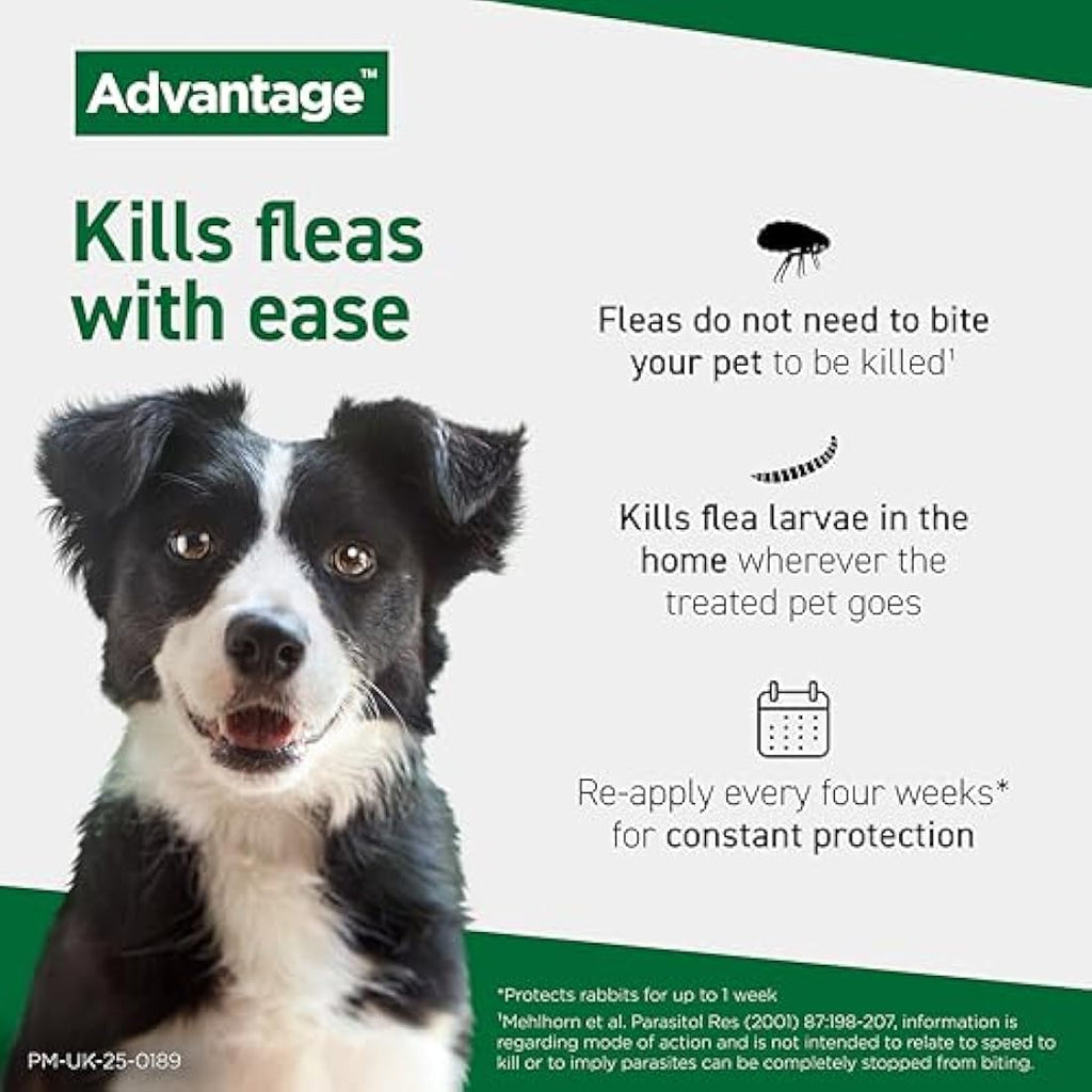 Advantage Flea Treatment for Large Cats and Rabbits Over 4kg | 4 Pipettes