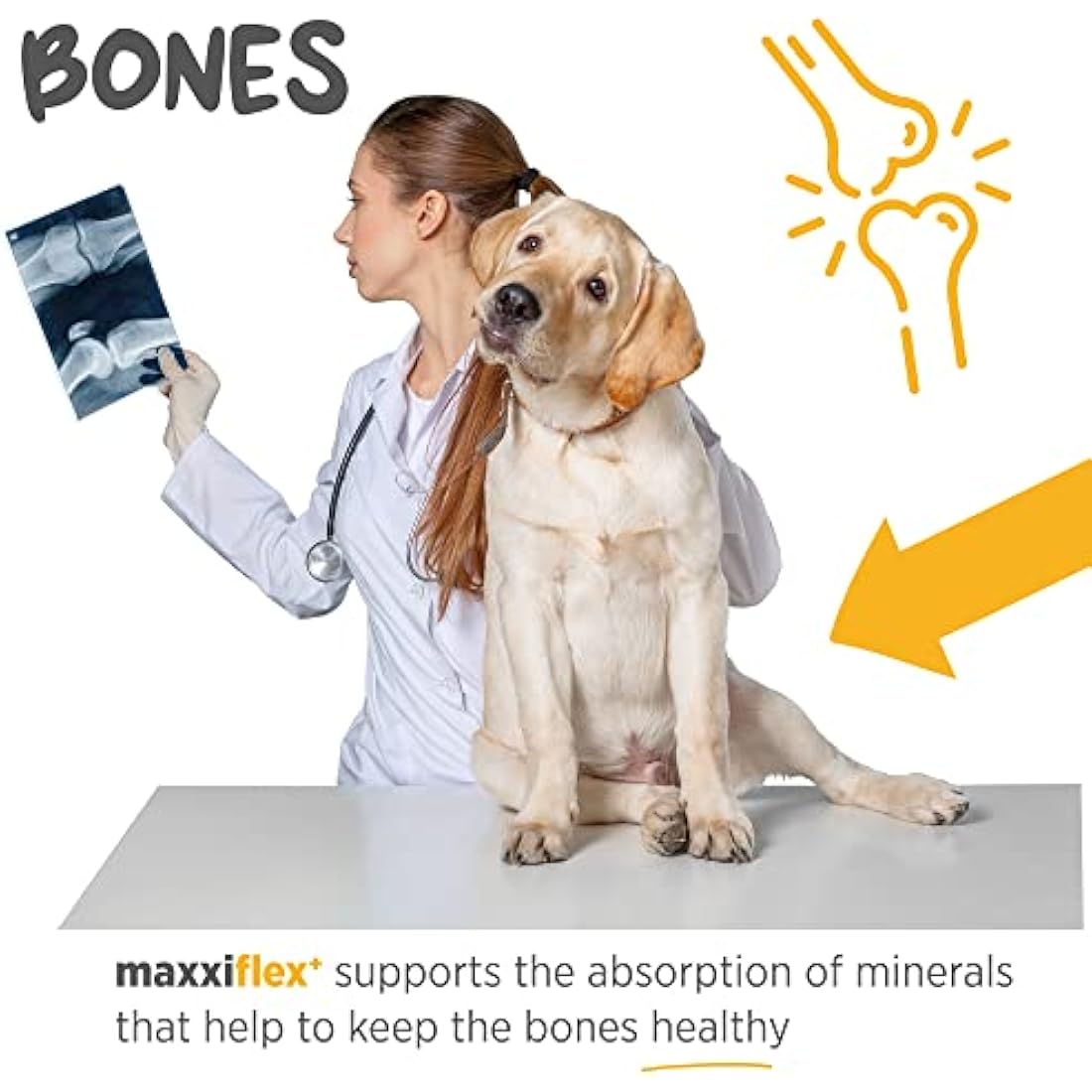 maxxipaws maxxiflex+ Dog Hip & Joint Supplement - Glucosamine - 120 Tablets