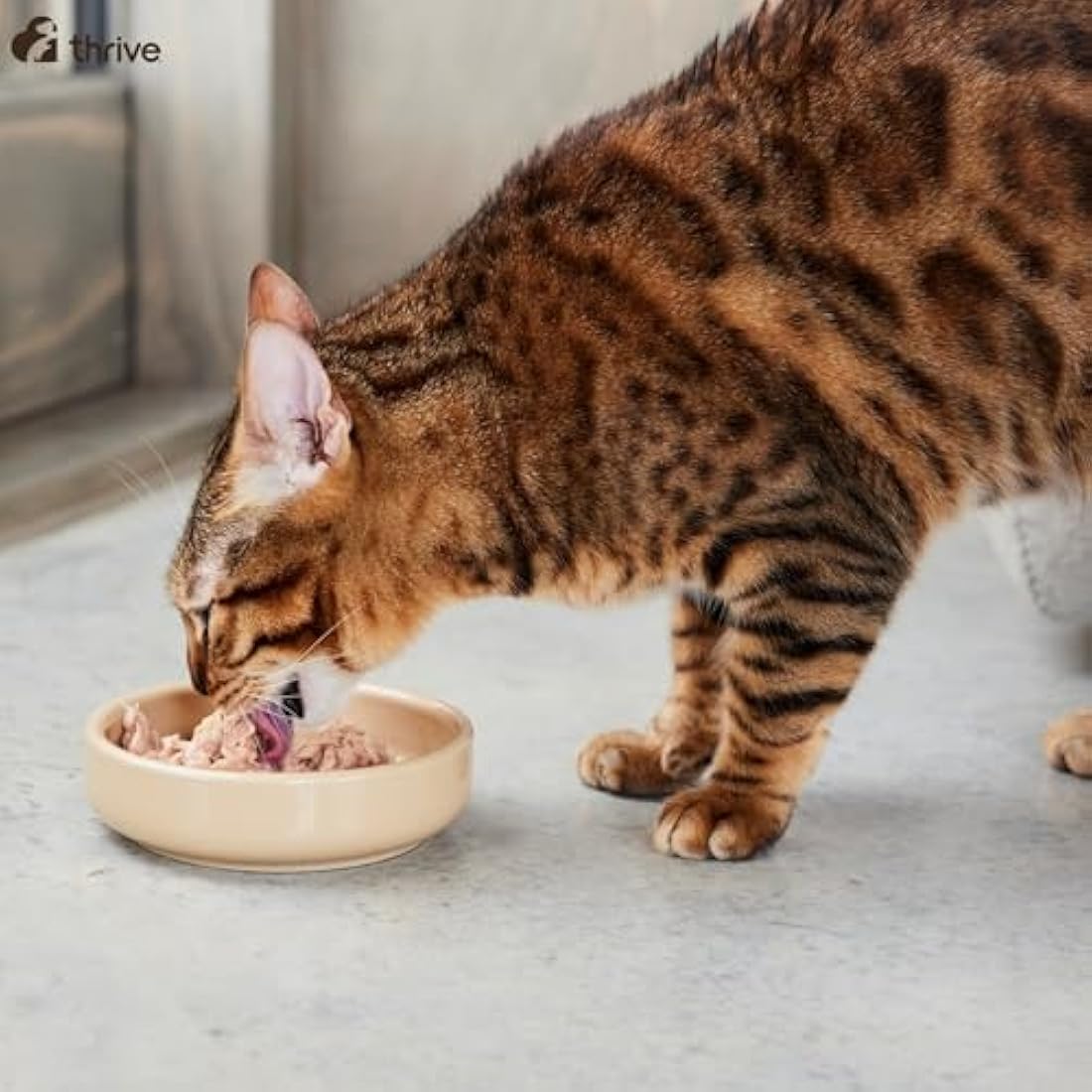 Thrive Chicken Breast Grain-Free Natural Cat Food - 12 Pack Case