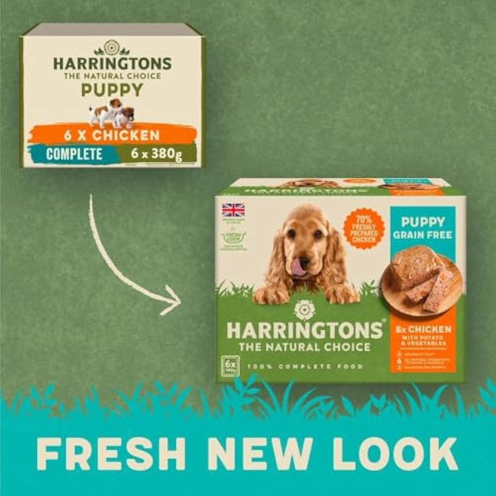 Harringtons Grain Free Puppy Wet Food – Chicken & Potato 6x380g