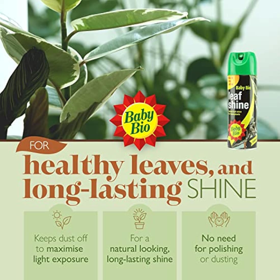 Baby Bio Leaf Shine – 200ml Aerosol Spray for Healthy Houseplant Leaves