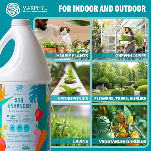 MARPHYL Organic Liquid Fertilizer – Marine Phytoplankton Plant Food