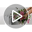 Olrla Real Touch White Artificial Lily Flowers – 6 Pcs Waterproof Faux Lilies