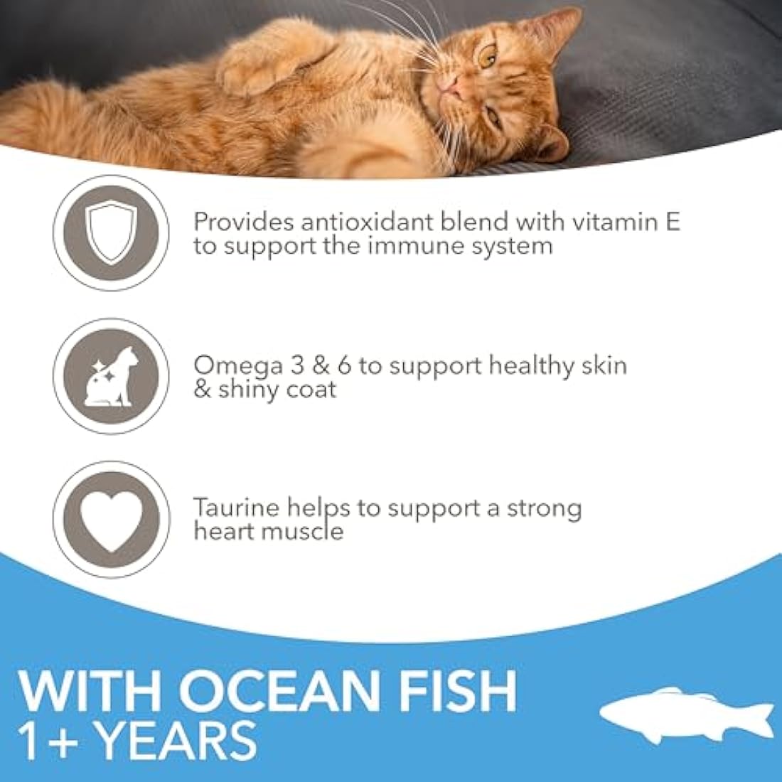 IAMS Adult Dry Cat Food – Ocean Fish 10kg – Immune Support Formula