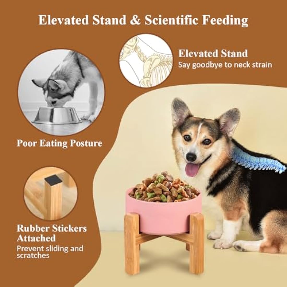 Elevated Ceramic Dog Bowls – Raised Anti-Vomiting Set of 2