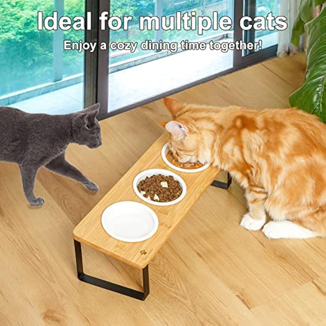 GUUSII HOME Elevated Cat Bowl Set - 3 Tilted Ceramic Bowls with Bamboo Stand