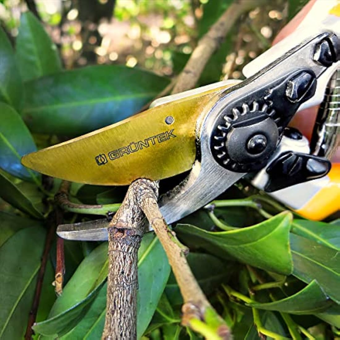 GRÜNTEK Z-25 Bypass Secateurs – 215mm Japanese SK5 Steel Garden Shears