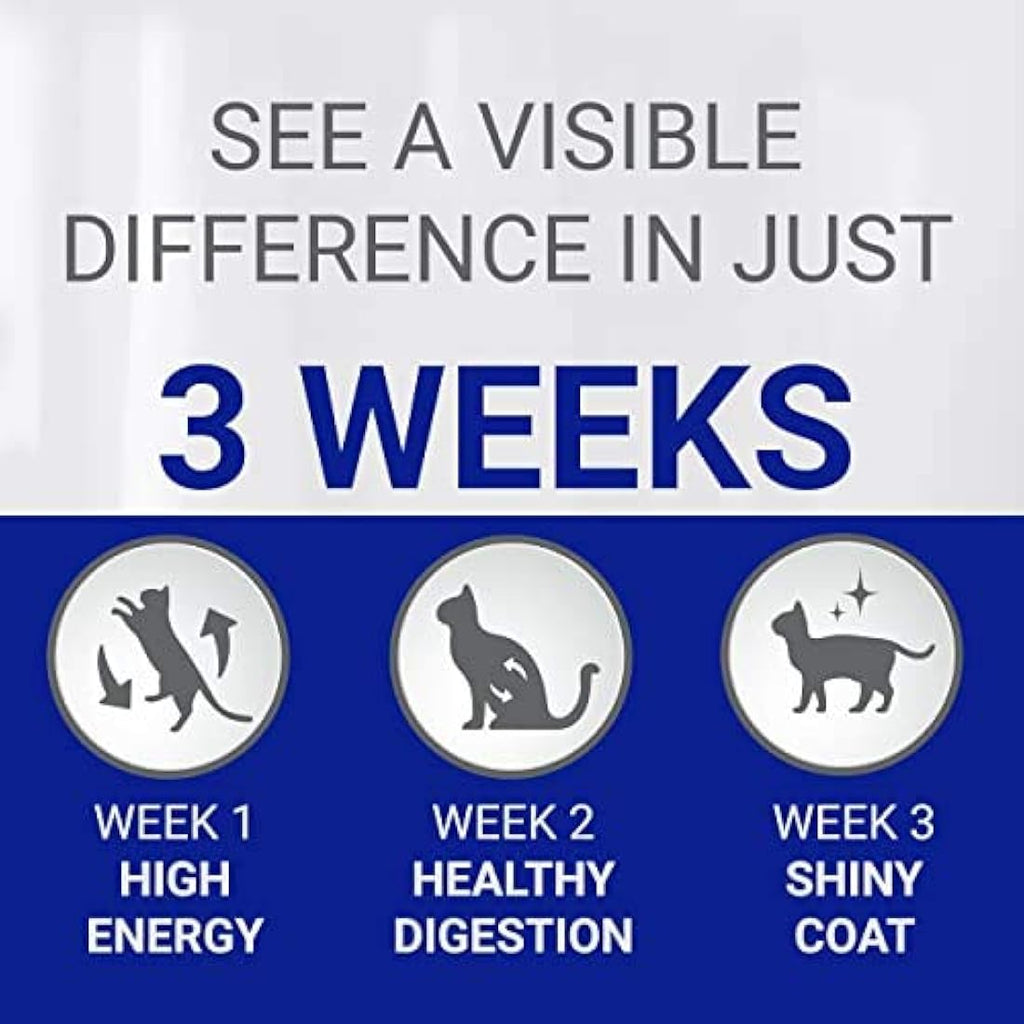 Purina ONE Indoor Dry Cat Food – Turkey & Wholegrain Formula, 3kg