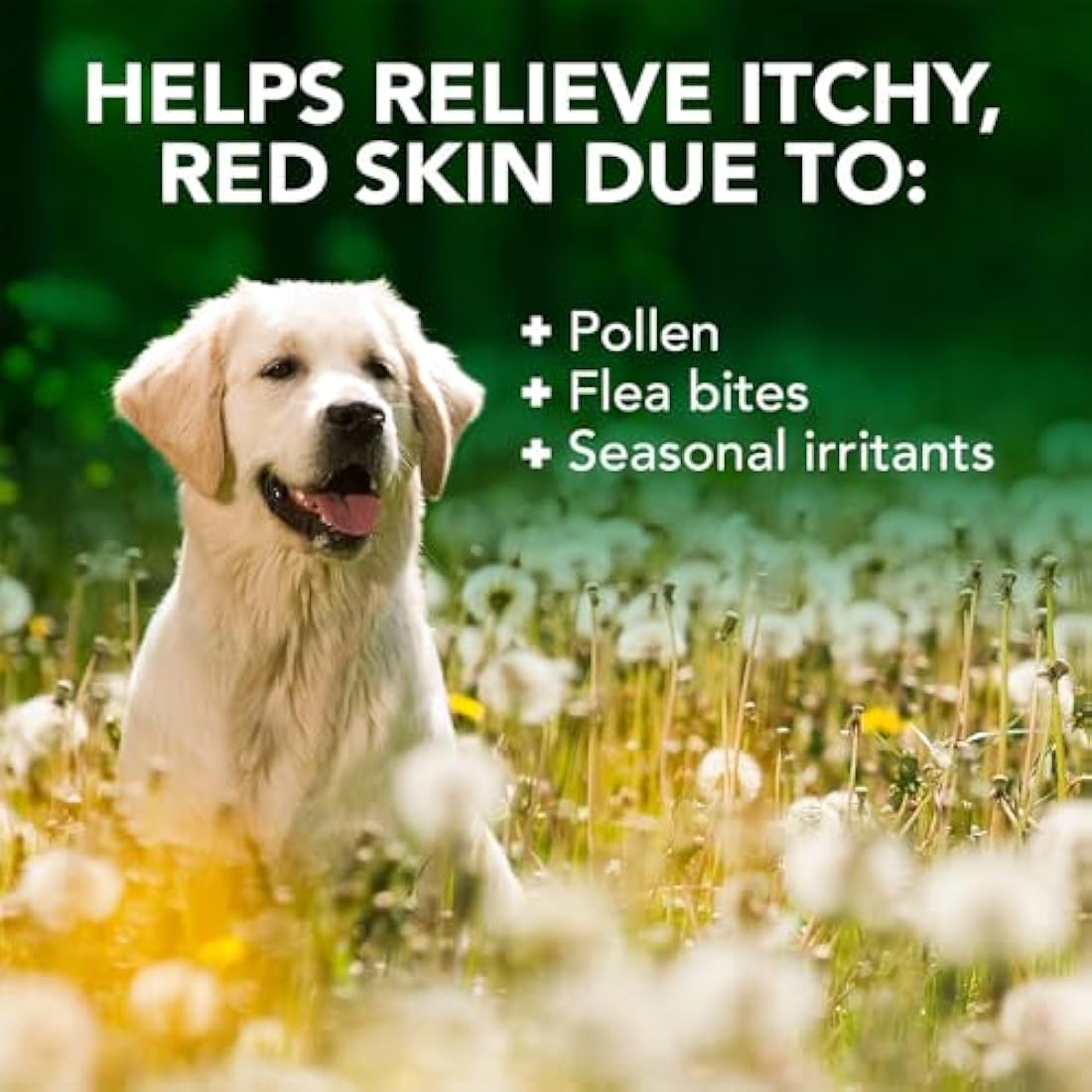 Vet's Best Allergy Itch Relief Dog Shampoo | Soothing Oatmeal & Tea Tree