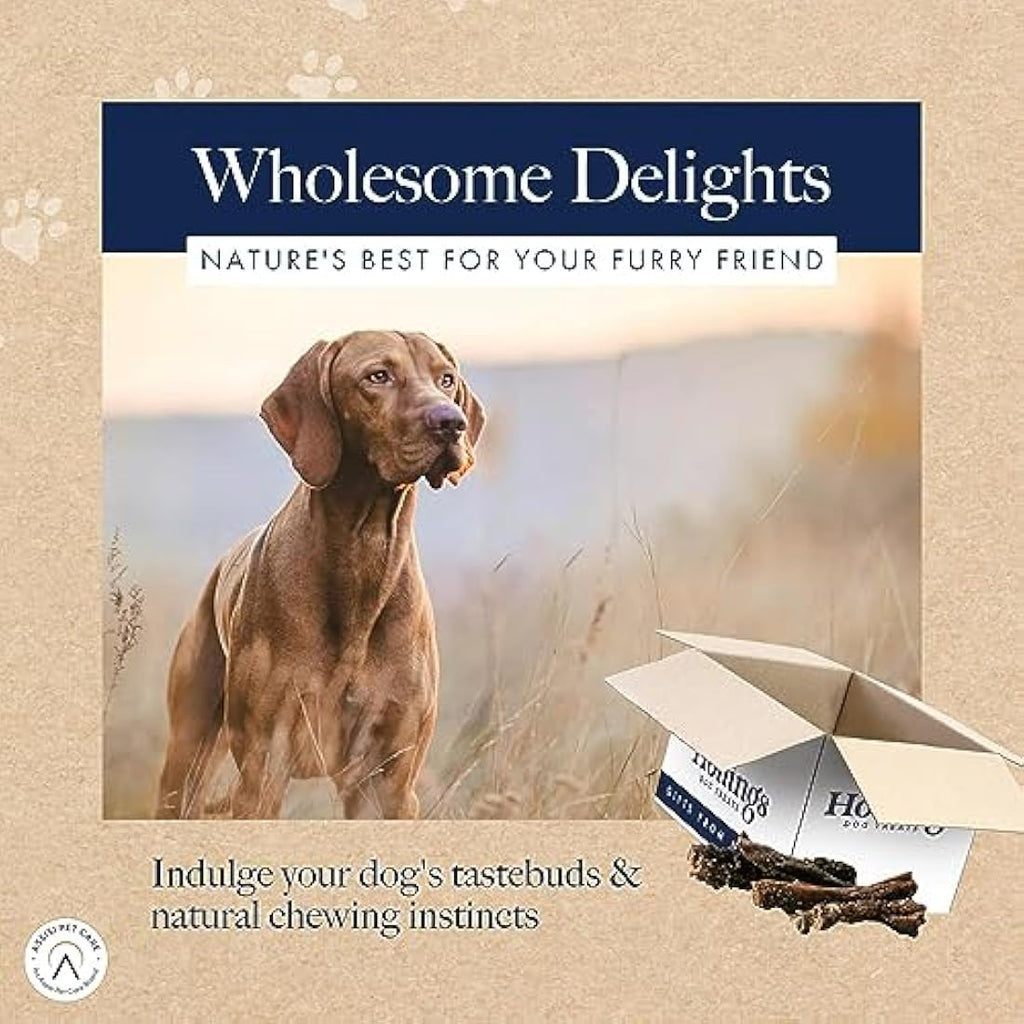 Hollings Beef Tripe Sticks Dog Treats | Natural Grain Free Chews - 2.5kg