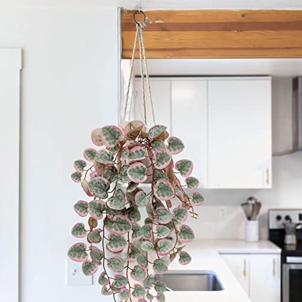 Hollyone Artificial String of Hearts Potted Plants – Faux Trailing Greenery