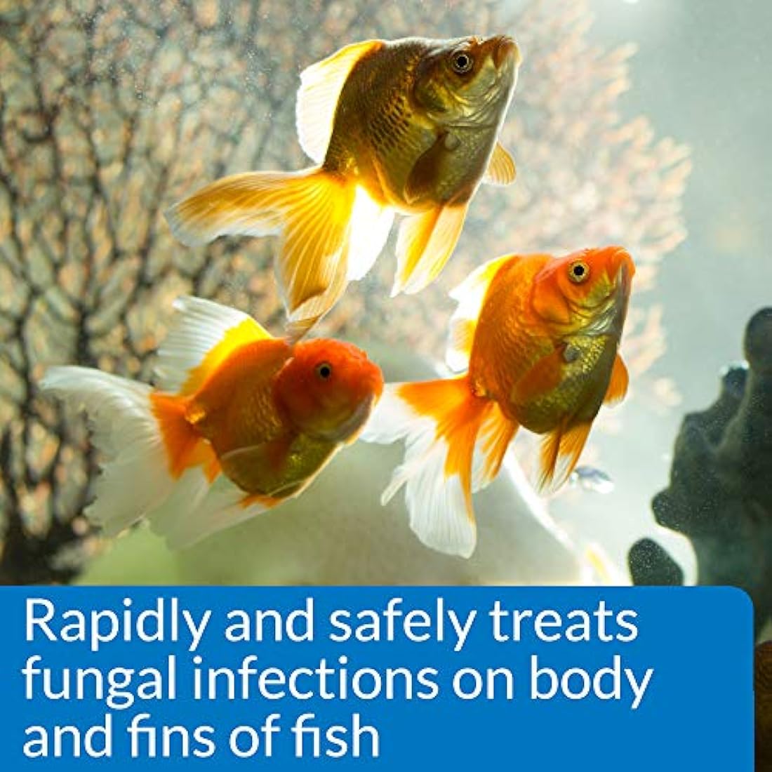 API Pimafix Antifungal Fish Remedy – Natural Treatment for Aquariums, 237ml