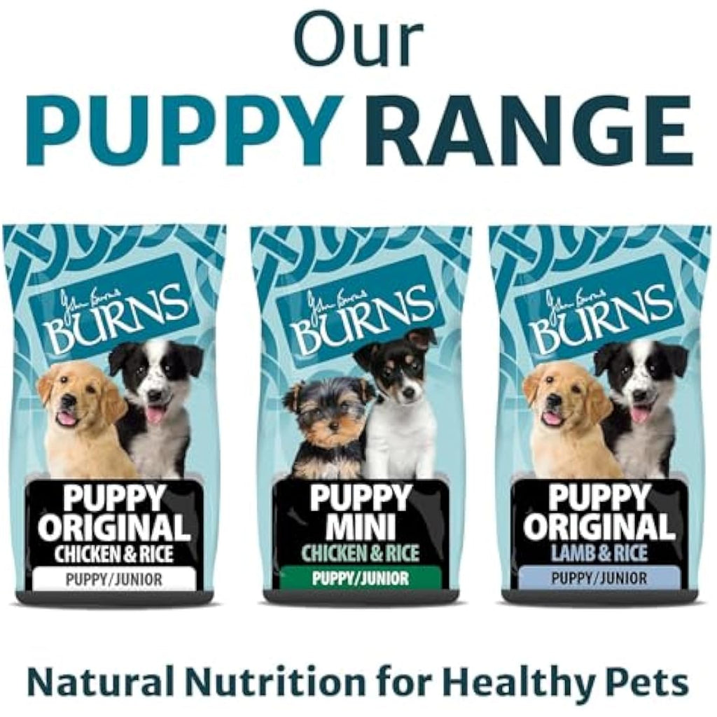 Burns Pet Nutrition Puppy Original Lamb and Rice Dry Dog Food - 2kg