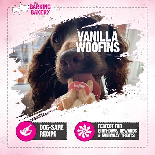 Vanilla Dog Birthday Cake – Iced Cupcake Puppy Treat