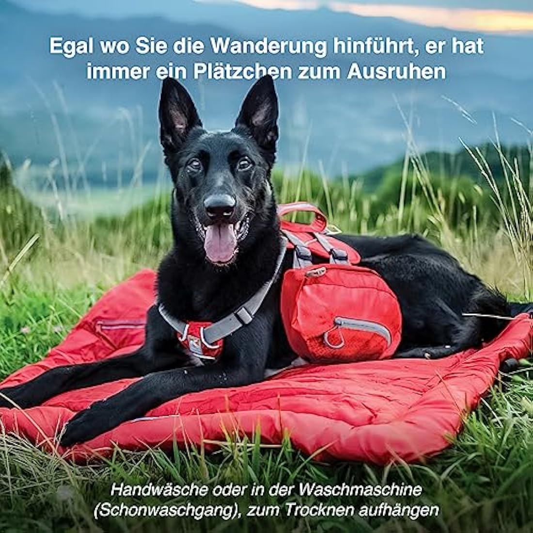 Kurgo Waterproof Travel Dog Bed – Portable Outdoor Camping Mat, Chili Red