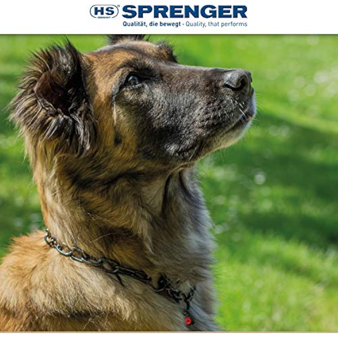 Sprenger Stainless Steel Dog Necklace – Black Training Collar for Dogs 55cm