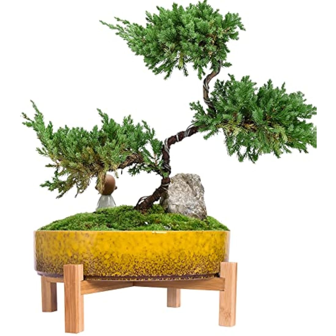 Artketty 29cm Ceramic Bonsai Pot with Stand | Large Succulent Planter