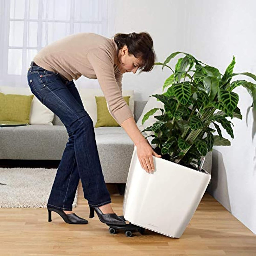 LECHUZA QUADRO Premium LS 43 Self-Watering Planter | Black High Gloss