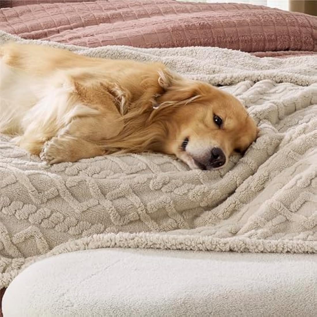 Lesure Waterproof Dog Blanket – Washable Plush Pet Throw for Bed & Sofa
