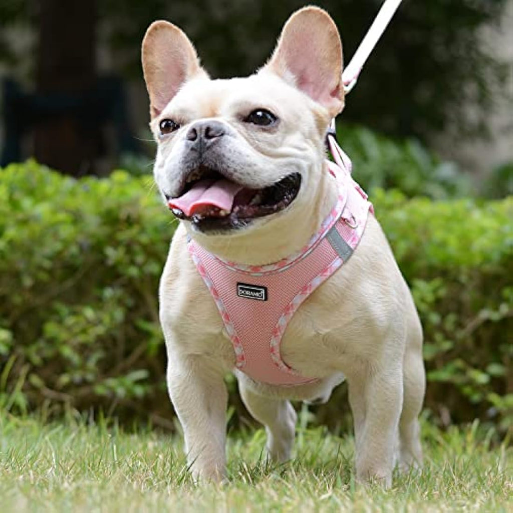 DORAMIO Step-in Dog Harness and Leash Set | Reflective Mesh Vest – Pink