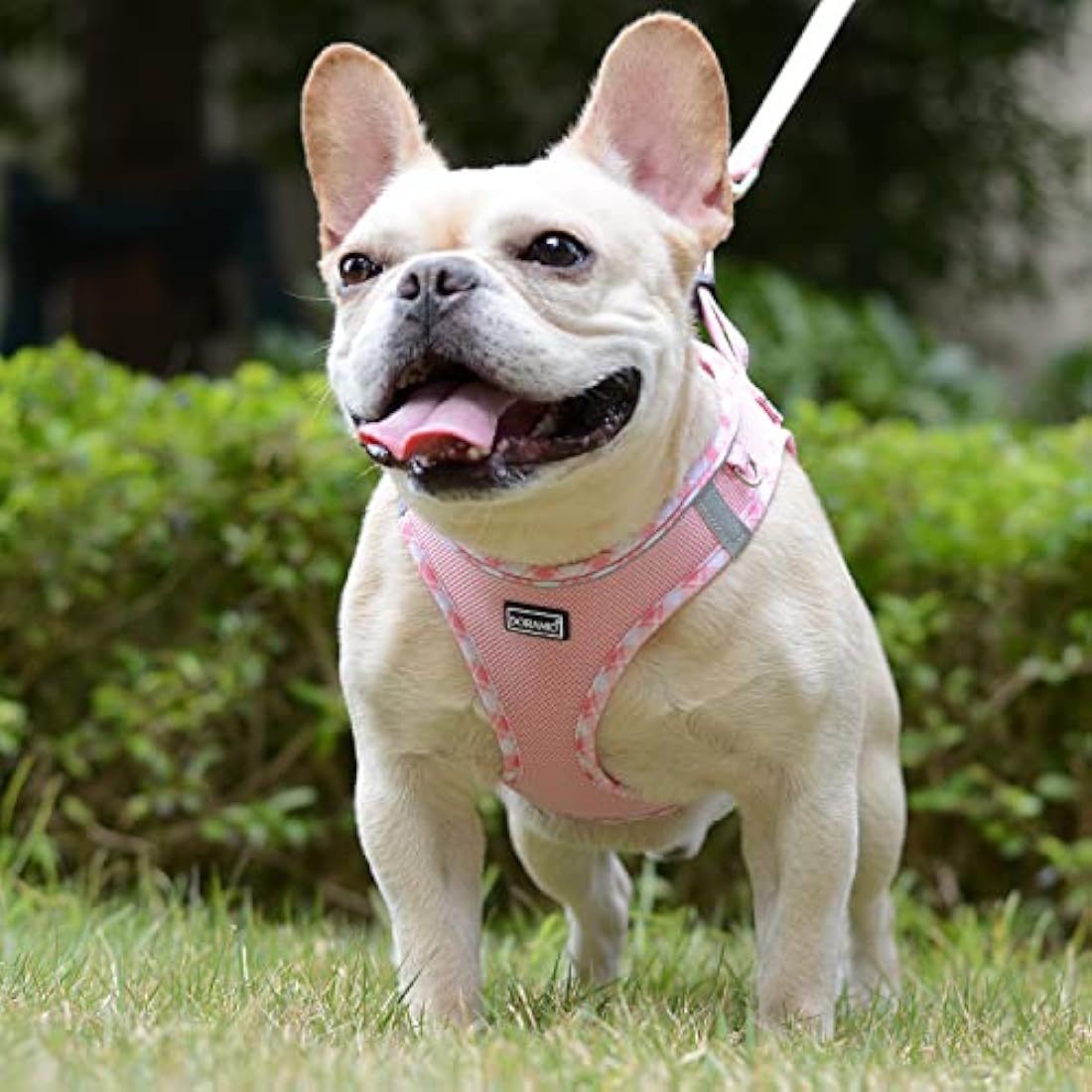 DORAMIO Step-in Dog Harness and Leash Set | Reflective Mesh Vest – Pink