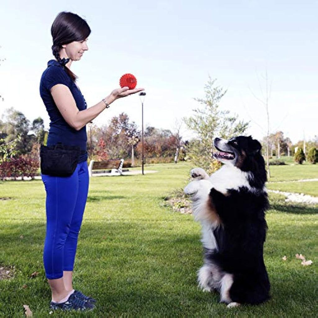 Squeaky Dog Ball – Durable Spiky Toy for Large Breeds