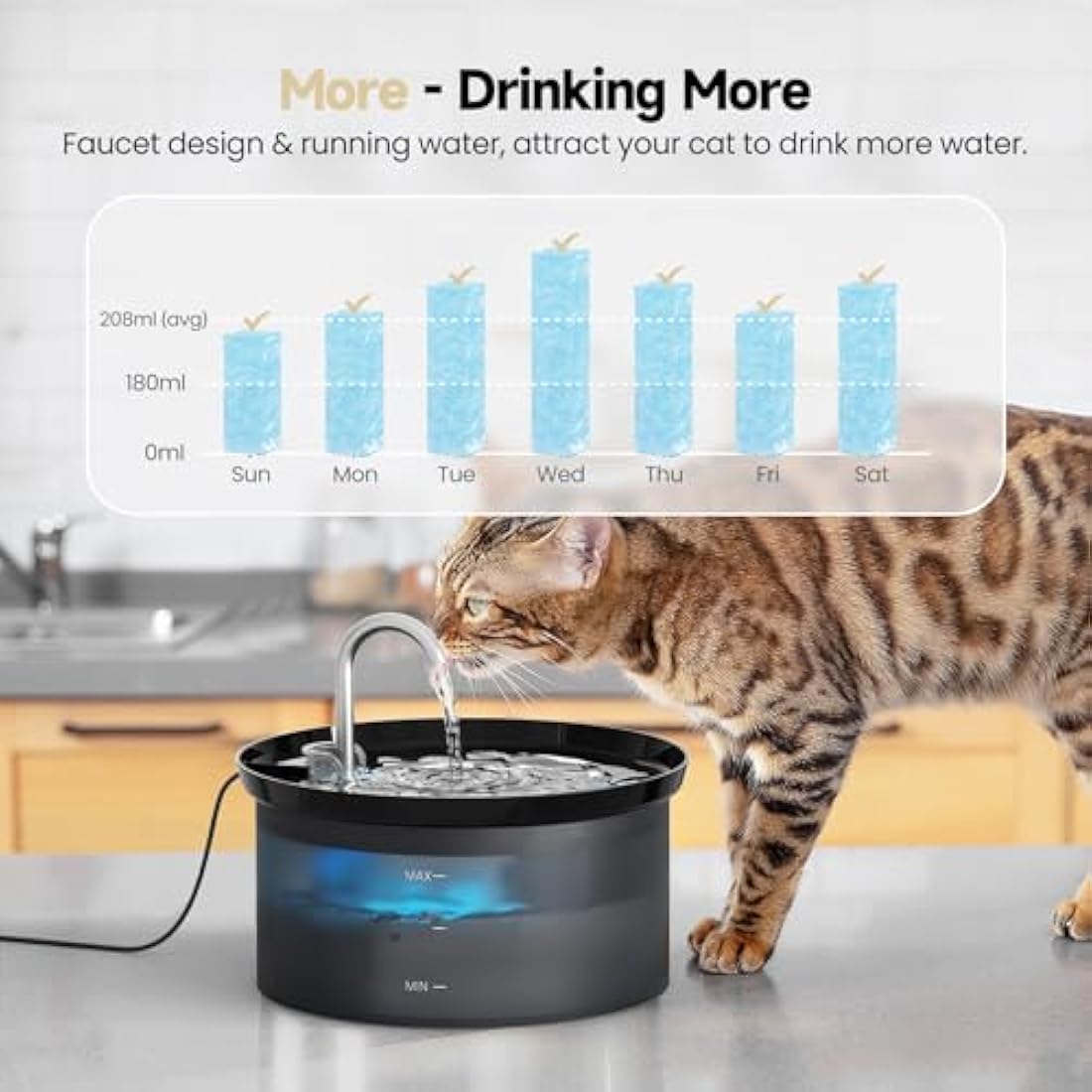 Cat Water Fountain - 2.5L Silent Faucet with 12 Filters