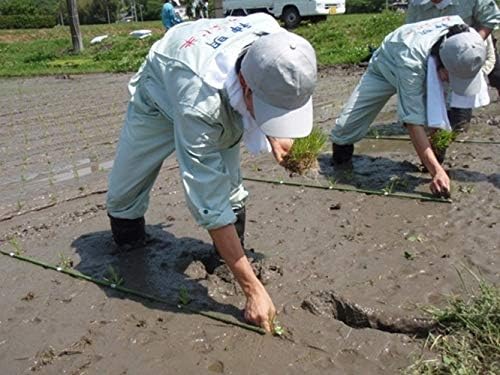 Toyama Koshihikari Japanese Short Grain Rice - 5kg Bag