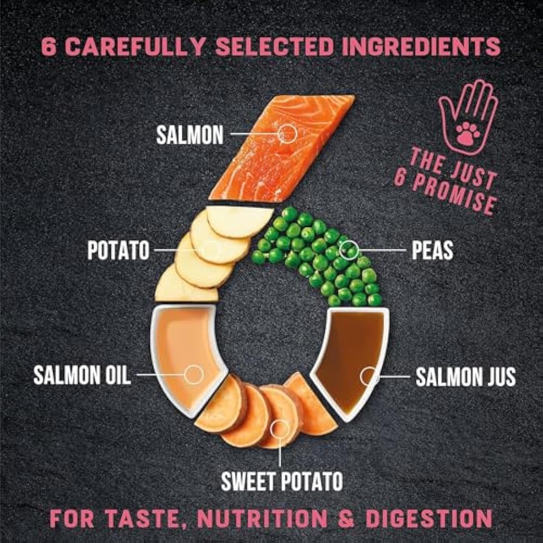 Harringtons Just 6 Grain Free Salmon Dog Food - 2kg (Pack of 4)