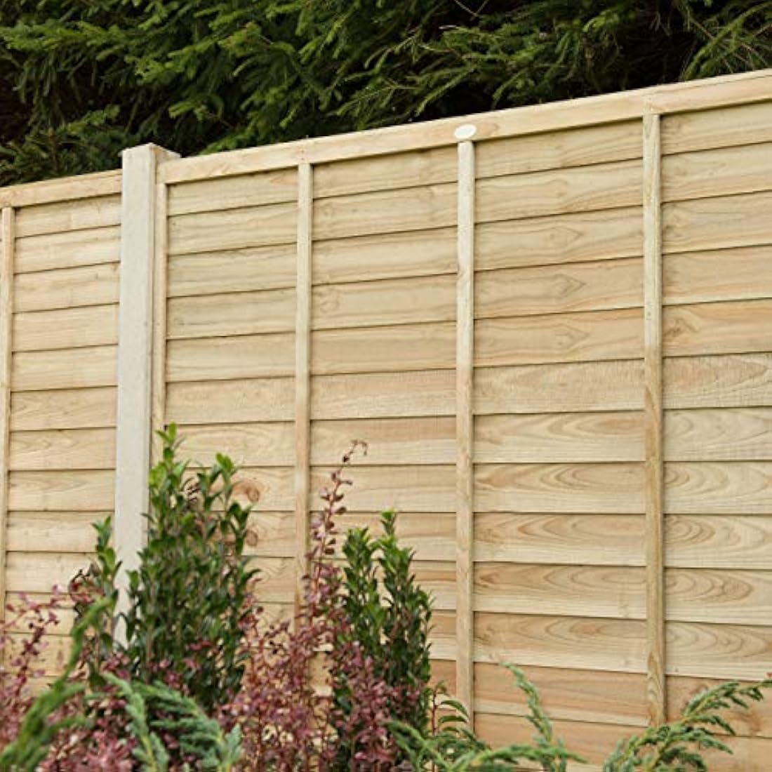 Forest Garden Superlap Fence Panels | Pressure Treated 6x5ft (Pack of 3)