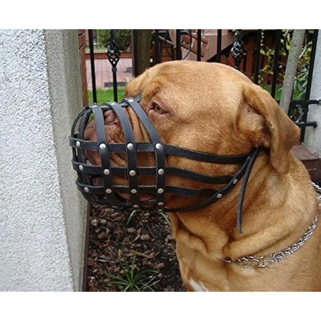L&J Pets Black Leather Dog Muzzle for Bullmastiff & Dogue de Bordeaux