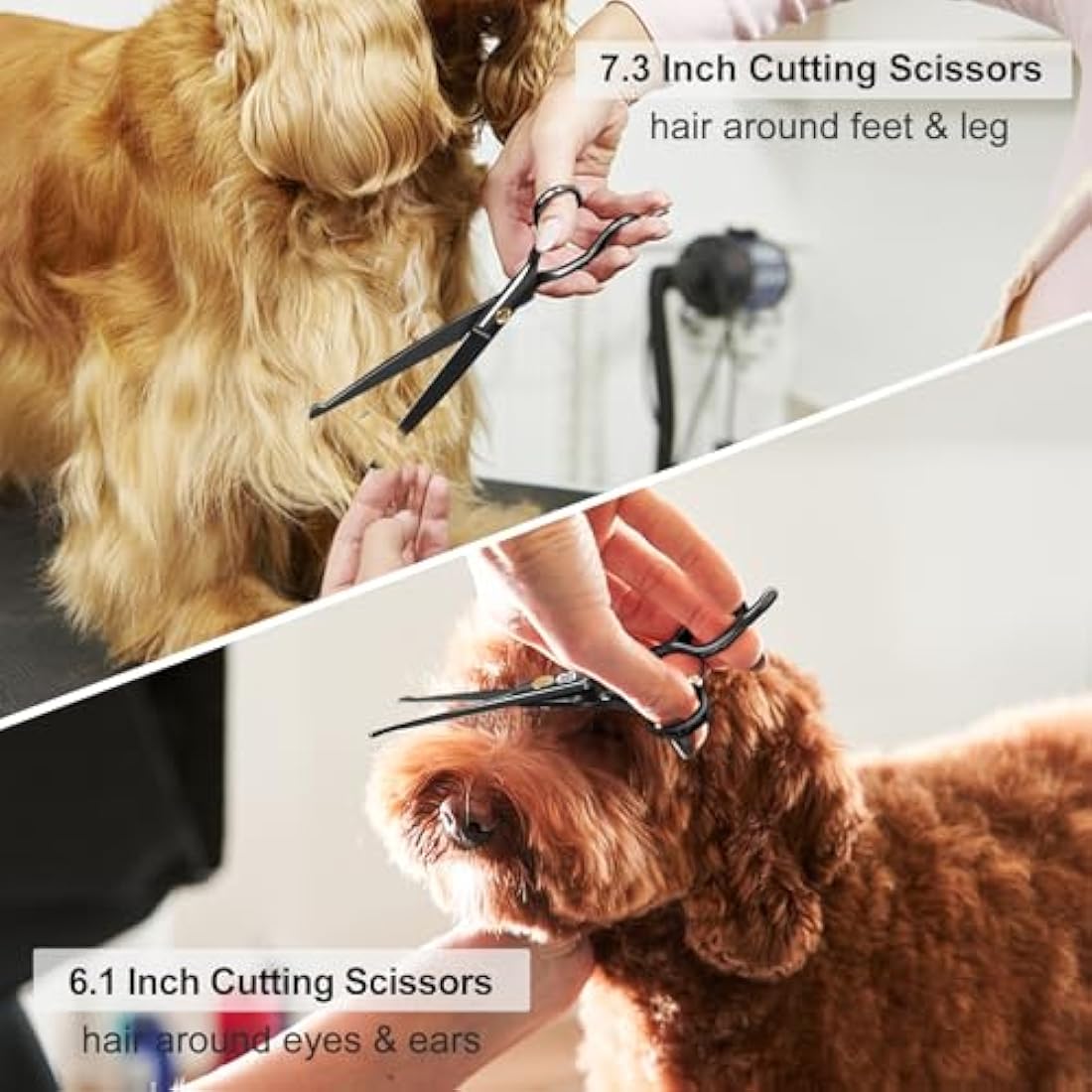 CIICII 10-in-1 Dog Grooming Scissors Kit | Professional Pet Shears Set