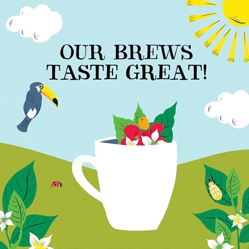 Clipper Organic Arabica Instant Coffee – 6 x 100g Fairtrade Bulk Jars