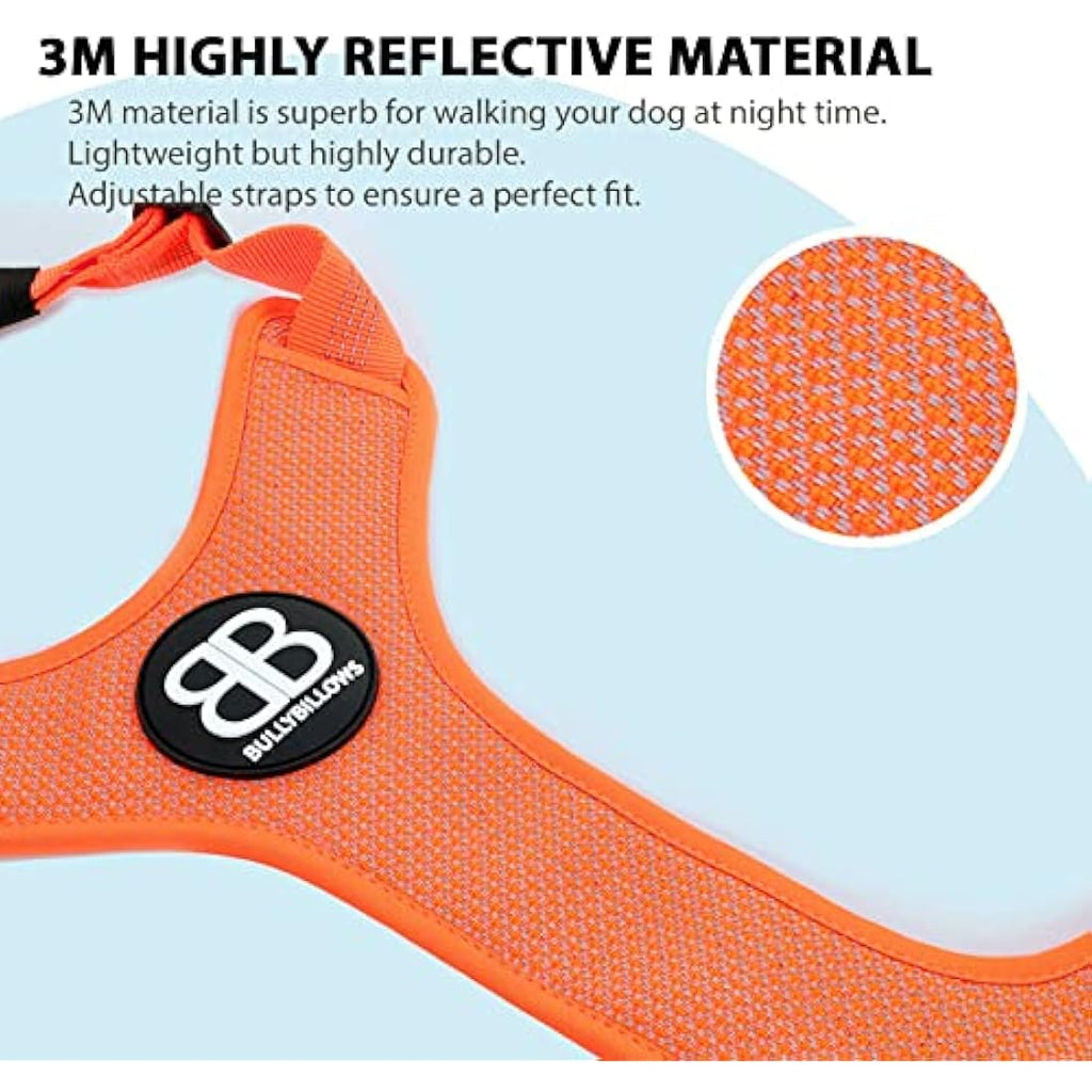 BullyBillows Active Light Dog Harness | Reflective Padded Nylon – Orange