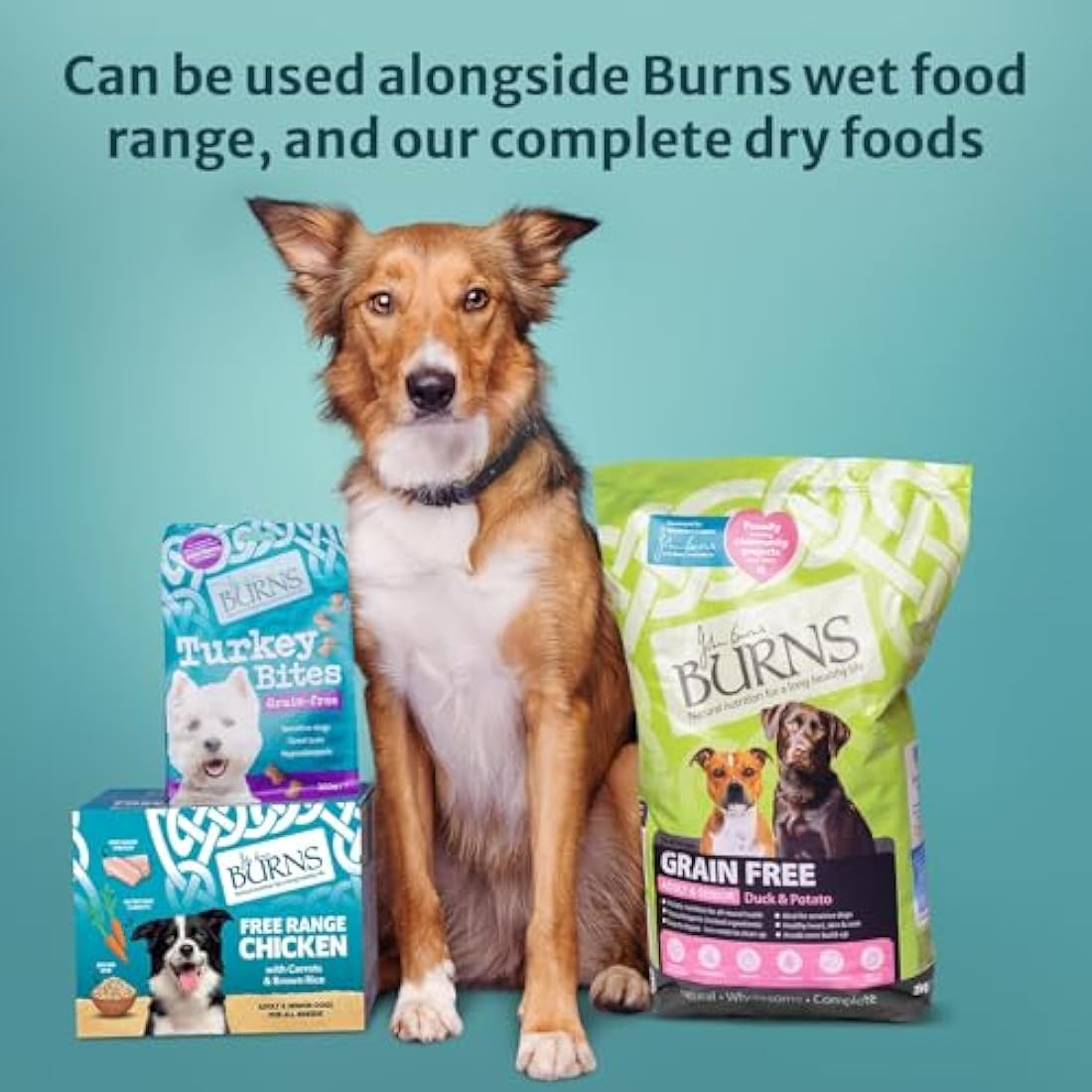 Burns Pet Nutrition Hypo-allergenic Dog Mixer | Low-Fat & Wheat-Free 2kg