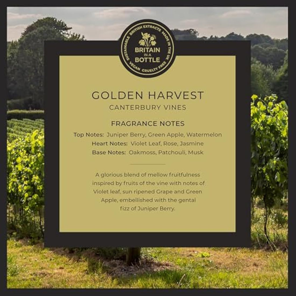 Noble Isle Golden Harvest Hand Lotion | Vegan Luxury Moisturiser (300ml)