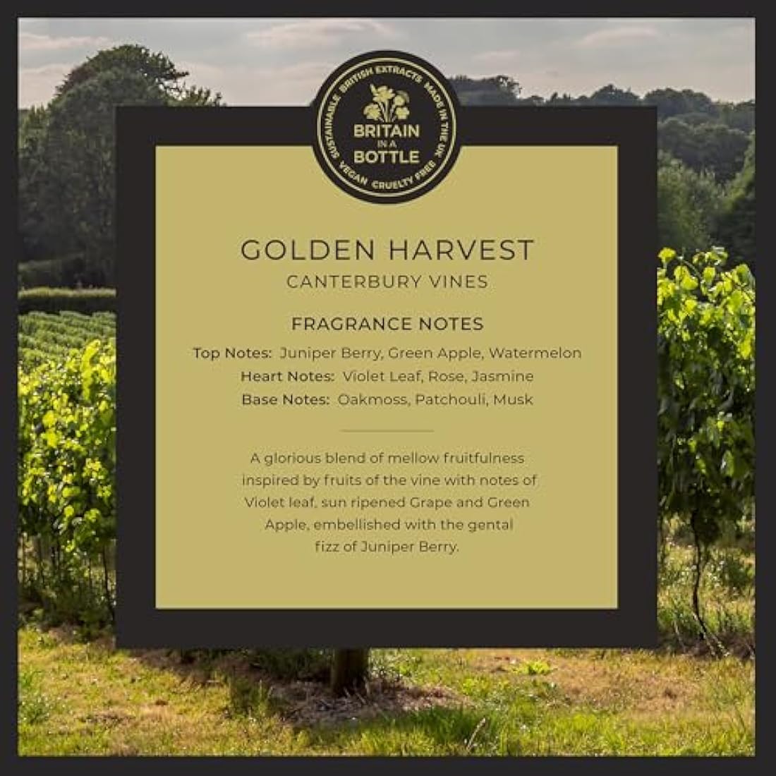Noble Isle Golden Harvest Hand Lotion | Vegan Luxury Moisturiser (300ml)