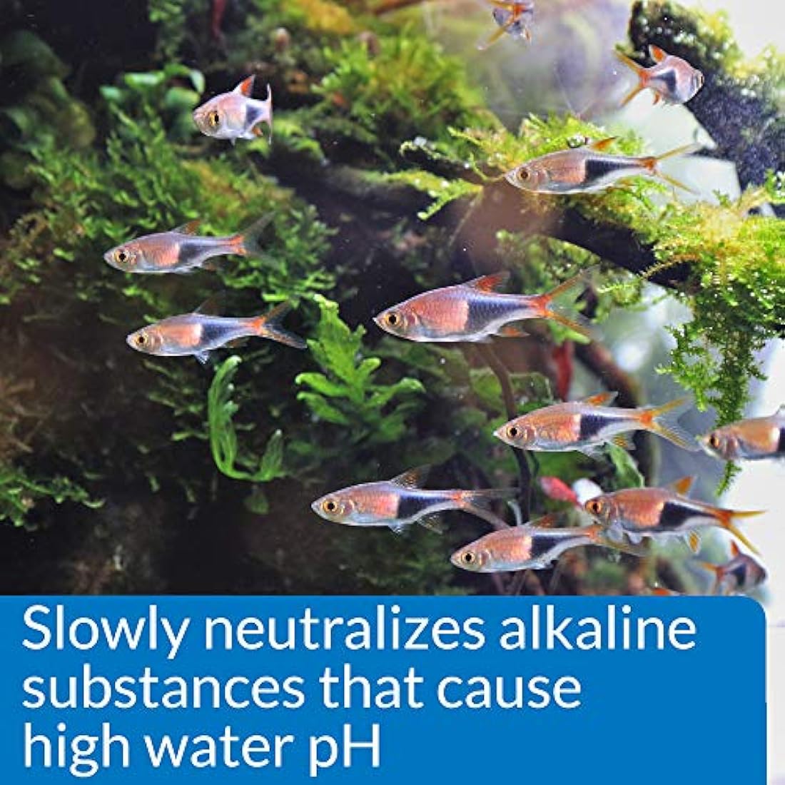 API pH DOWN Freshwater Aquarium Water pH Reducing Solution - 118 ml