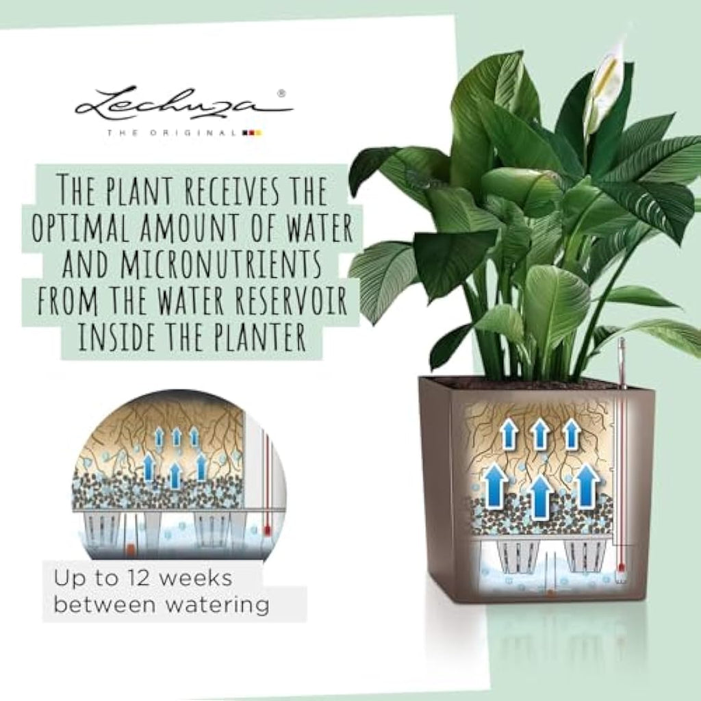 Lechuza CUBE 40 Self-Watering Planter | Charcoal Metallic Plastic Pot