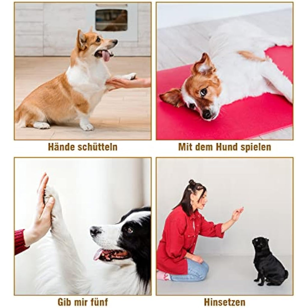 Dog Training Clicker Pack of 5 with Wrist Straps – 5 Colors