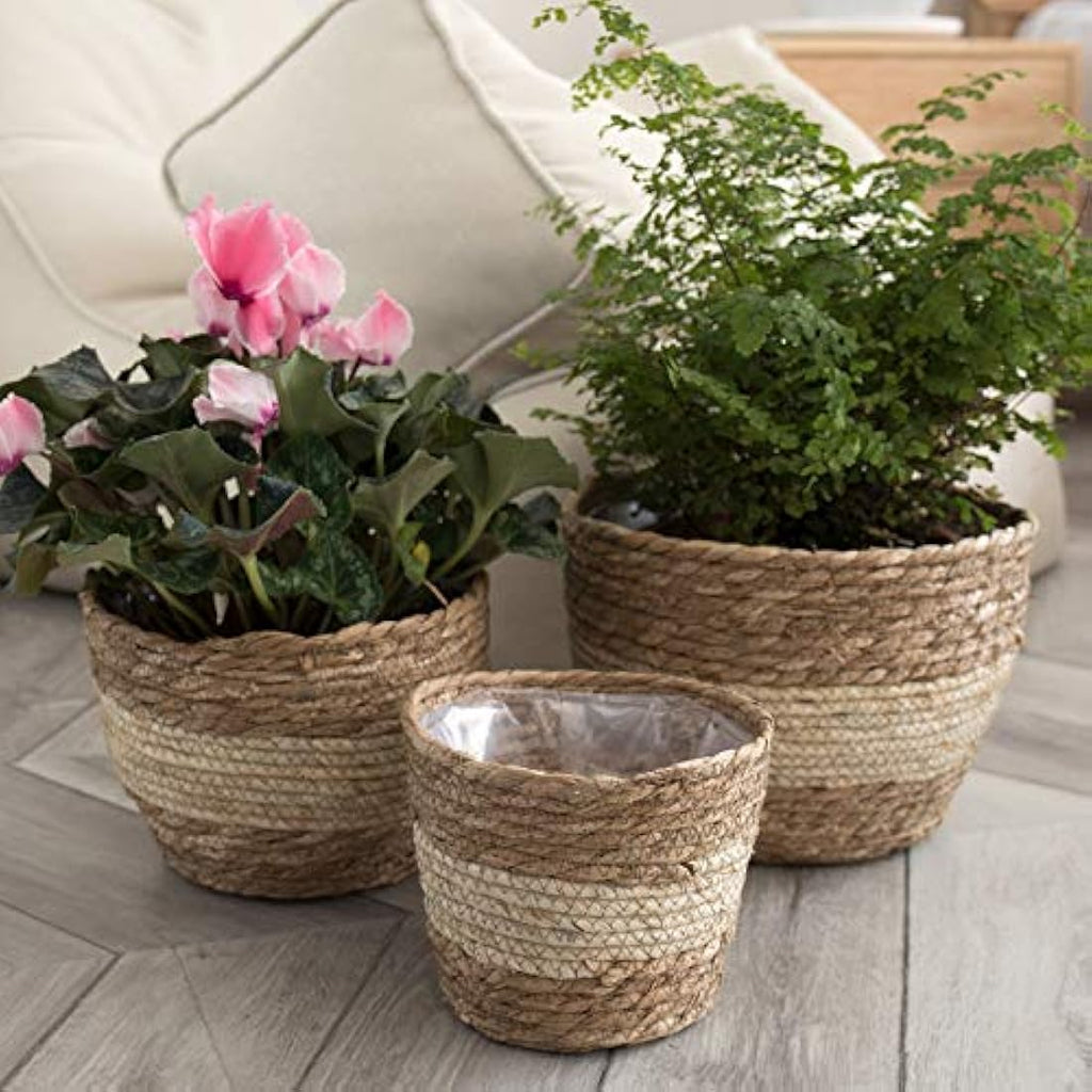 La Jolíe Muse Seagrass Planter Basket - Handwoven Indoor Pots, 3-Pack
