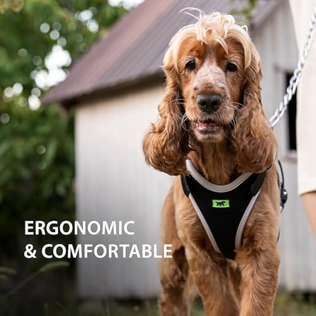 Ferplast Ergocomfort Large Dog Harness | Padded Nylon – Silver