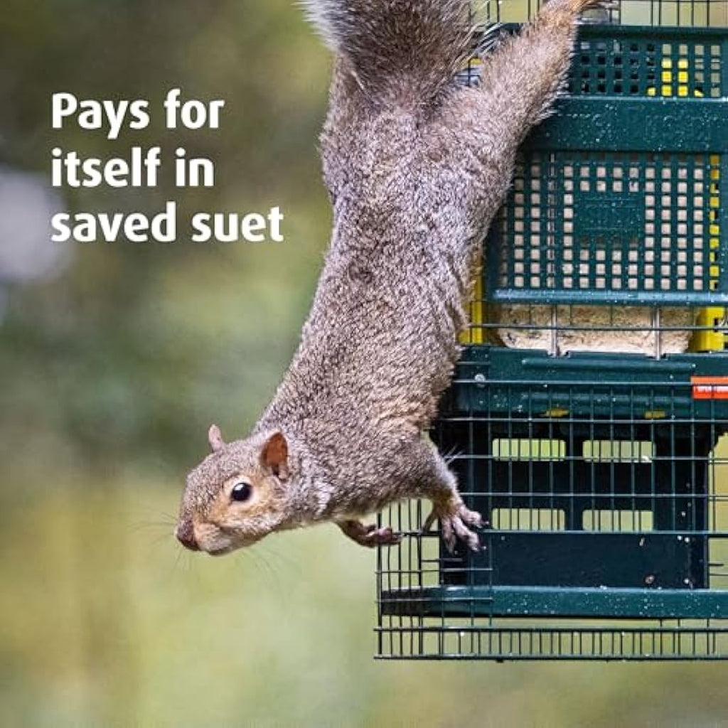 Jacobi Jayne Squirrel Buster Suet Feeder – Metal Squirrel Proof Design
