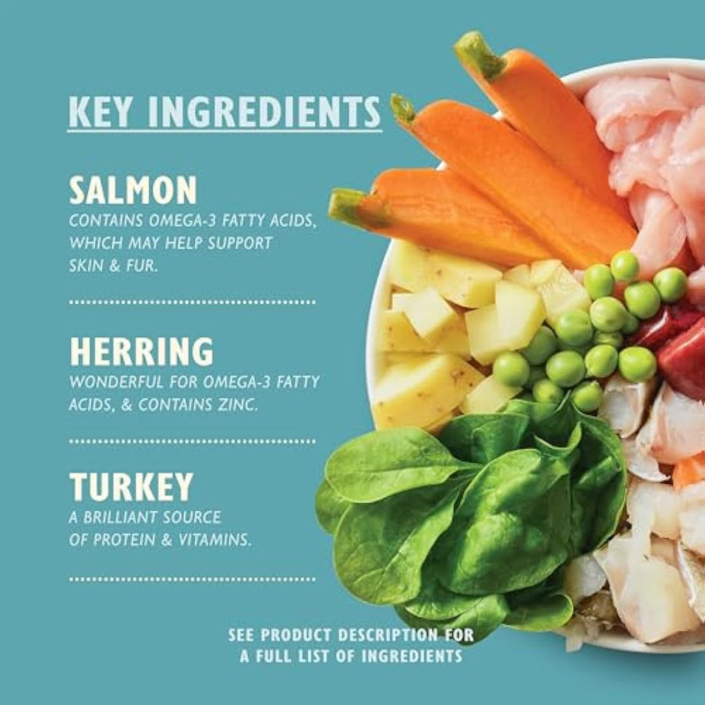 Lily's Kitchen Fishy Fish Pie Grain-Free Wet Dog Food - 10 x 150g