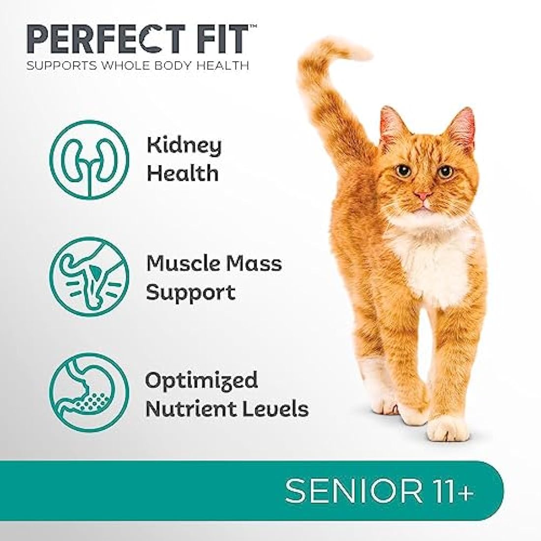 Perfect Fit Senior 11+ Dry Cat Food - Rich in Chicken - 3 x 2.8kg