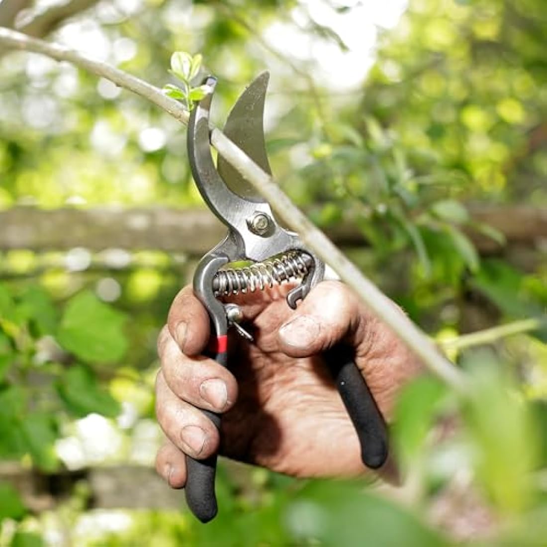 Spear & Jackson Carbon Steel Bypass and Anvil Secateurs Set – 2 Pack